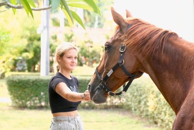 koh-samui-horse-riding-beach-trails