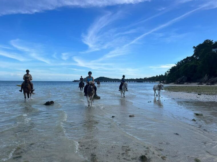 koh-samui-horse-riding-beach-trails