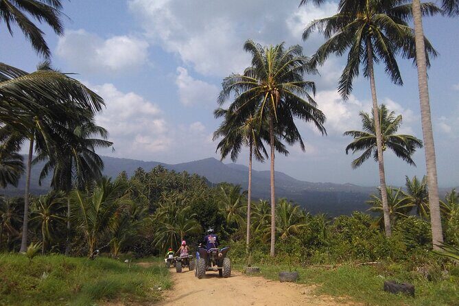 Koh Samui Island ATV Quad Bike Adventure - Why Choose the Koh Samui ATV Quad Bike Adventure?