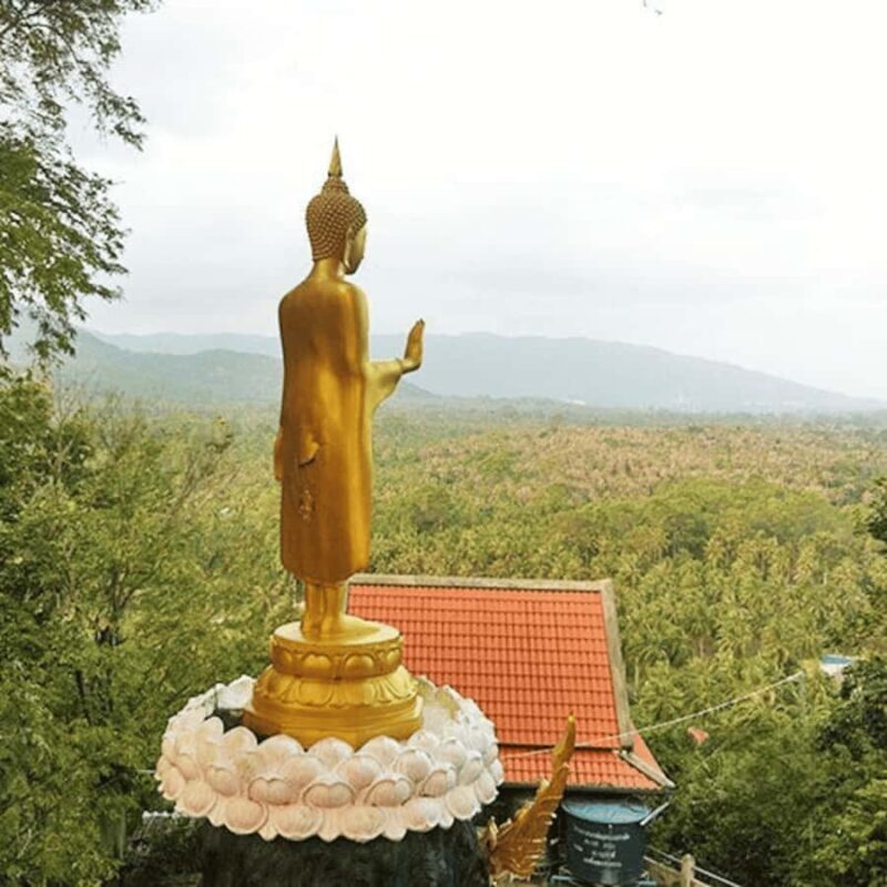 Koh Samui: Island Half Day Shore Excursion - Exploring Koh Samui: A Closer Look at the Half-Day Shore Excursion