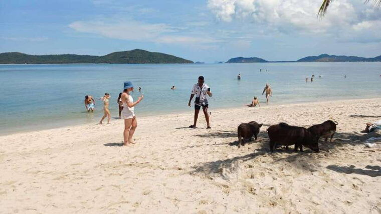 koh-samui-island-hopping-adventure-in-coral-and-pig-island