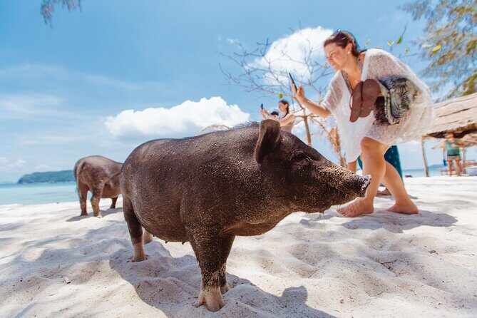 Koh Samui Jet Ski Safari Tour to Hidden Beaches and Islands - FAQ