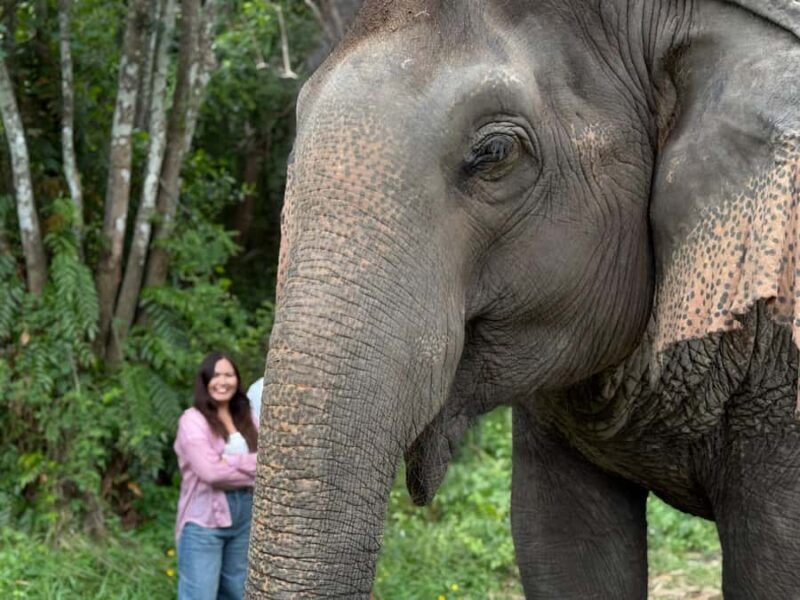Koh Samui: Jungle Safari Jeep Tour with Elephants Sanctuary - An In-Depth Look at the Tour Experience