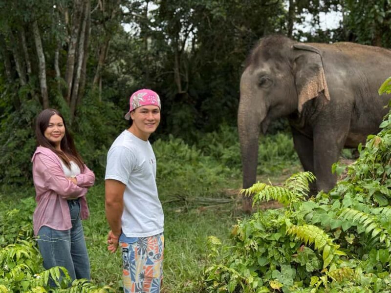 Koh Samui: Jungle Safari Jeep Tour with Elephants Sanctuary - Authenticity and Review Highlights