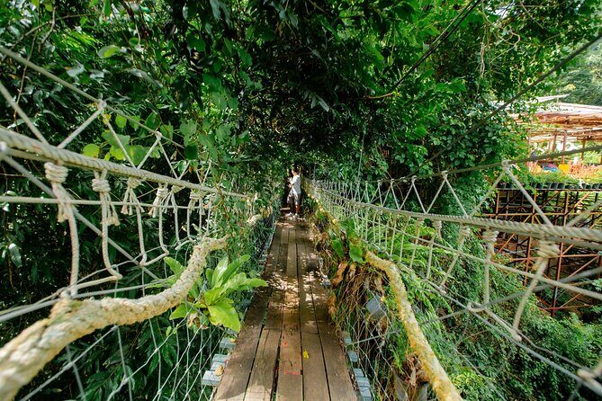 Koh Samui Jungle Zipline and Cafe with Waterfall Views - Final Thoughts