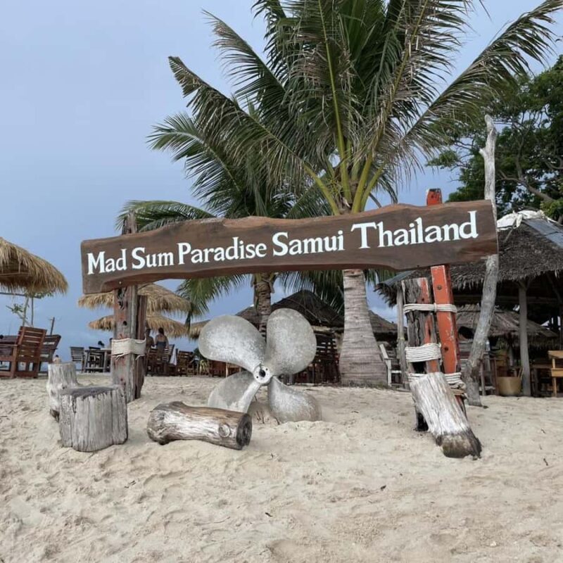 Koh Samui: Koh Madsum & Koh Tan Speed Catamaran Tour - The Experience in Detail