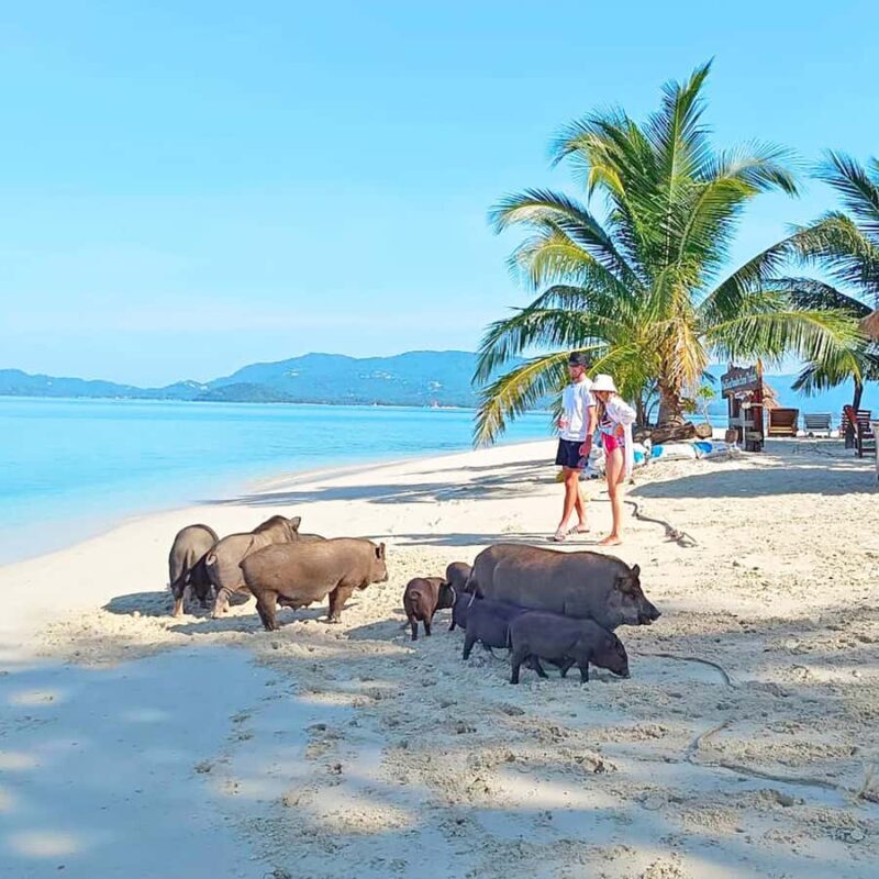 Koh Samui: Koh Mudsum & Koh Tan by Longtail Boat with Lunch - Key Points