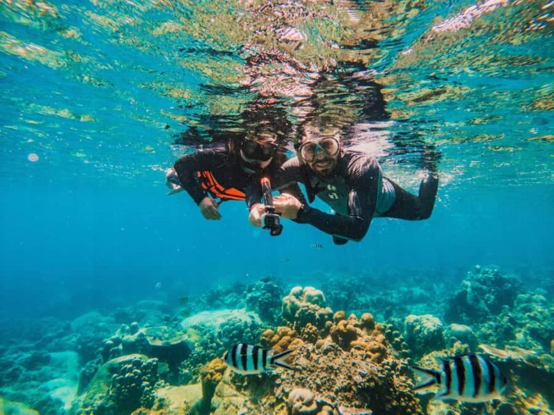 Koh Samui: Koh Tao and Nangyuan Snorkeling Tour with Lunch - FAQ