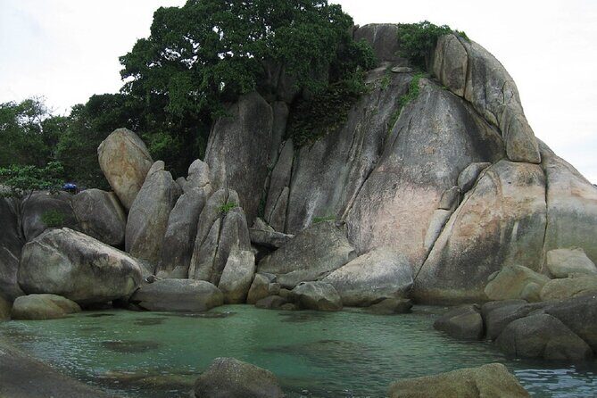 Koh Samui Local Market Hin Ta Hin Yai and Beach Dinner - A Close Look at the Koh Samui Local Market & Hin Ta Hin Yai Tour