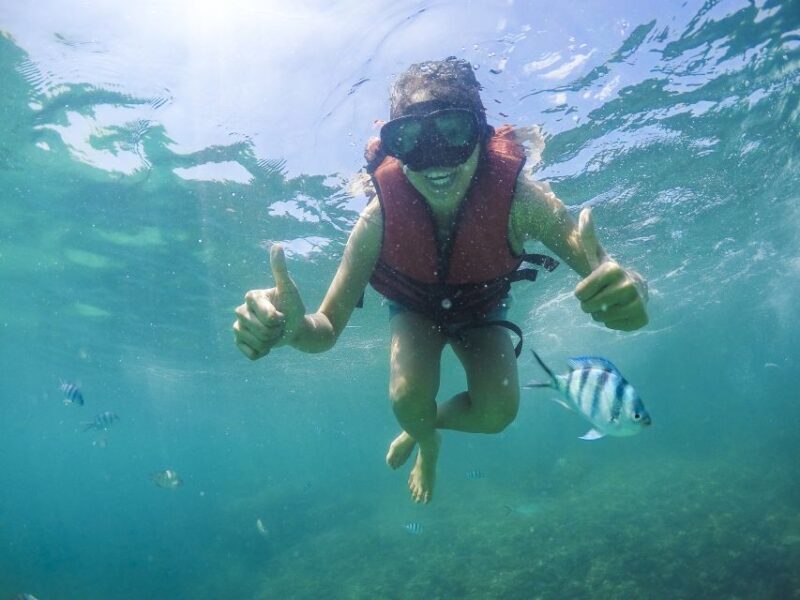 Koh Samui: Pig Island & Koh Tan Snorkeling by Speed boat - Key Points