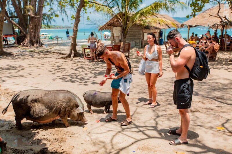 Koh Samui: Pig Island & Koh Tan Speedboat Tour with Lunch - Final Thoughts: Is It Worth It?