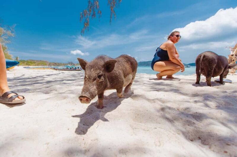 Koh Samui: Pig Island Private Longtail Boat Tour - FAQs