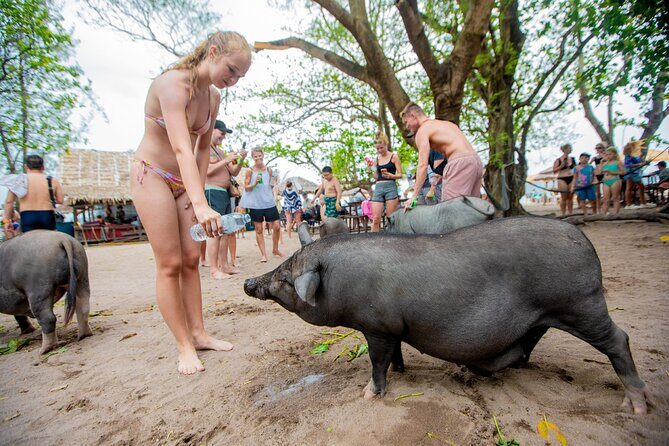Koh Samui Pig Island Snorkeling by Private Longtail Boat - Introduction