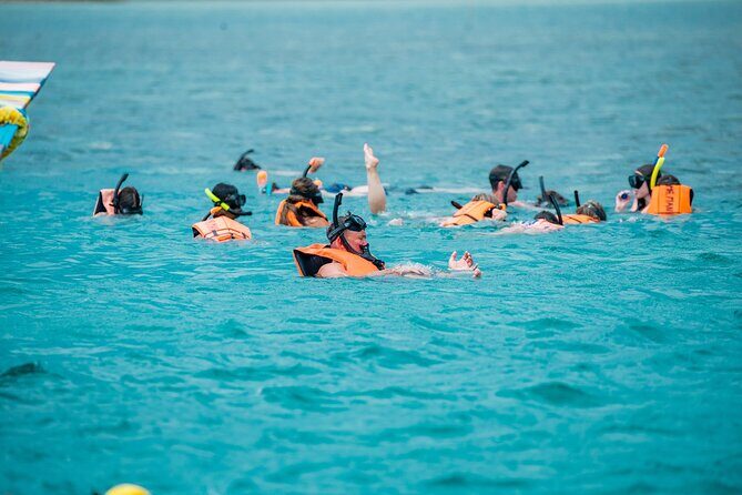 Koh Samui Pig Island Snorkeling by Private Longtail Boat - FAQs