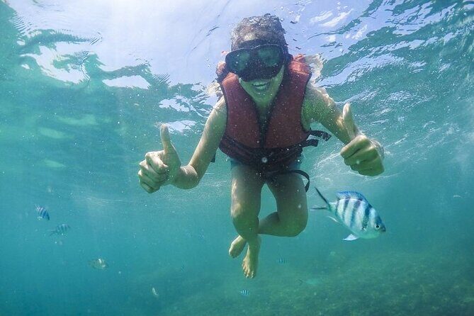 Koh Samui Pig Island Tour by Speedboat with Snorkeling - Authentic Experiences From Travelers