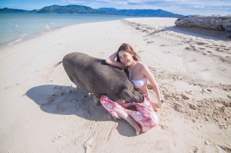koh-samui-pig-island-tour-by-speedboat-with-snorkeling
