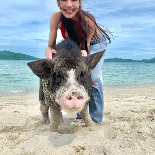 koh-samui-pig-island-tour-by-speedboat-with-snorkeling