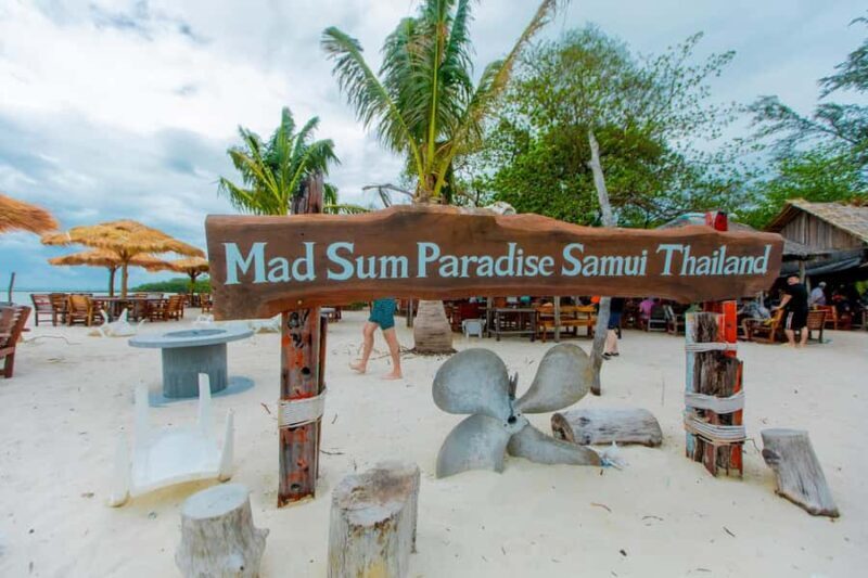 Koh Samui: Pink Dolphin Spotting & Pig Island Speedboat Tour - Key Points