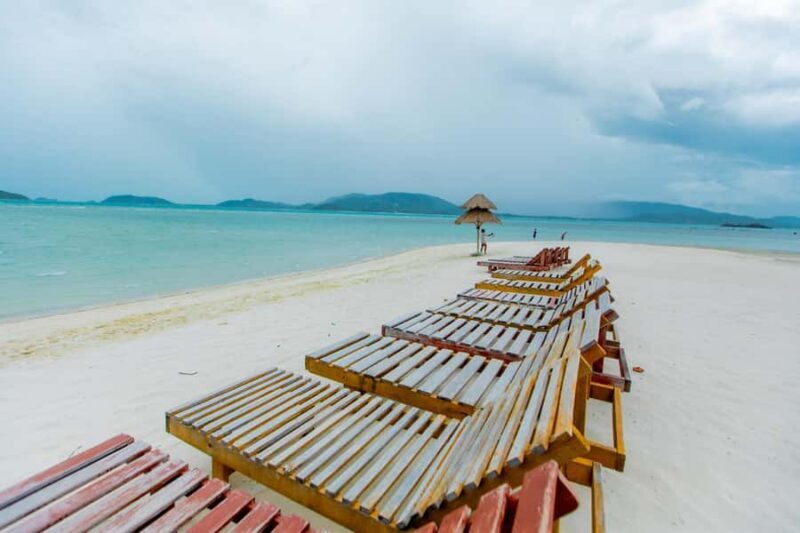 Koh Samui: Pink Dolphin Spotting & Pig Island Speedboat Tour - Why Choose This Tour?