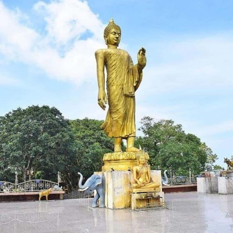 Koh Samui: Private Jungle Safari Tour with Lunch - An In-Depth Look at the Jungle Safari Experience