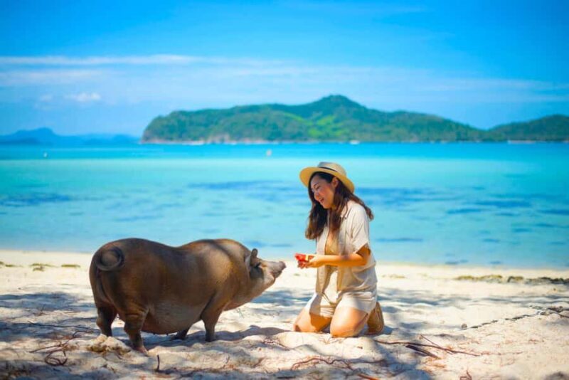 Koh Samui: Private Longtail Boat to Pig Island with Snorkel - An Authentic Koh Samui Adventure: What to Expect