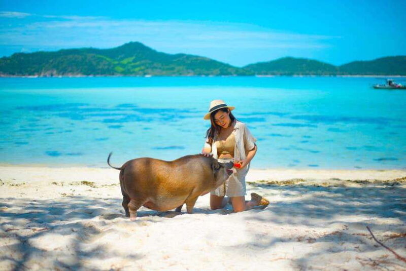 koh-samui-private-longtail-boat-to-pig-island-with-snorkel