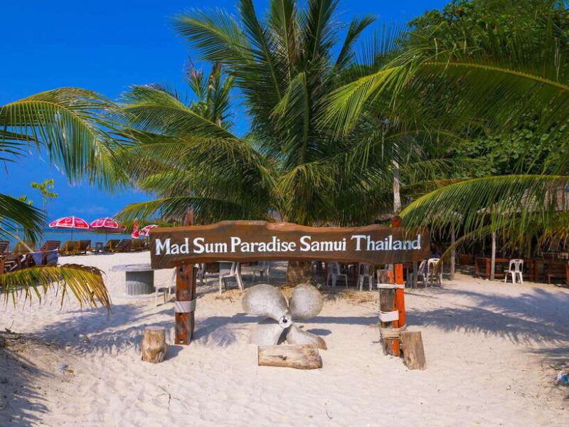 koh-samui-private-longtail-boat-to-pig-island-with-snorkel