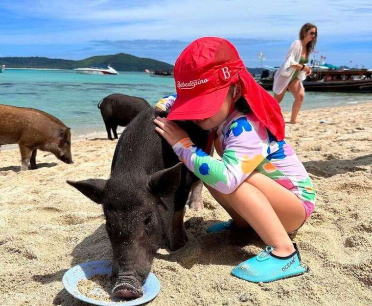 koh-samui-private-longtail-boat-to-pig-island-with-snorkel