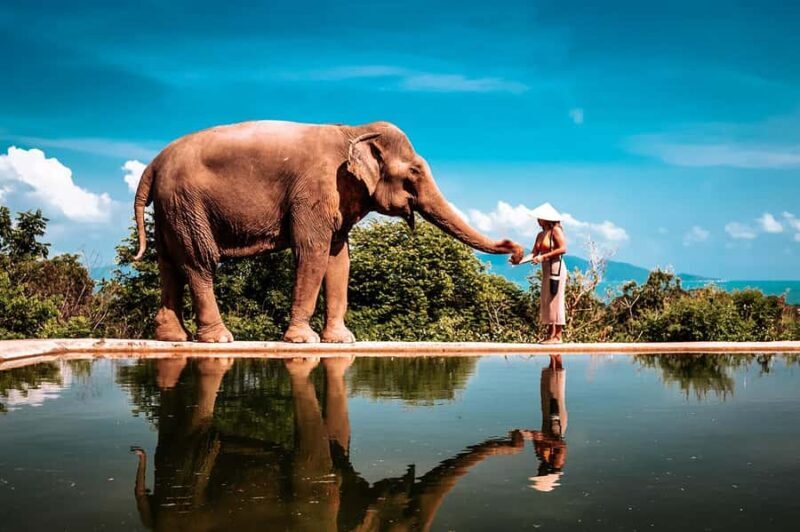 Koh Samui: Private Photoshoot for Couples & Families - Photo Delivery and Post-Processing