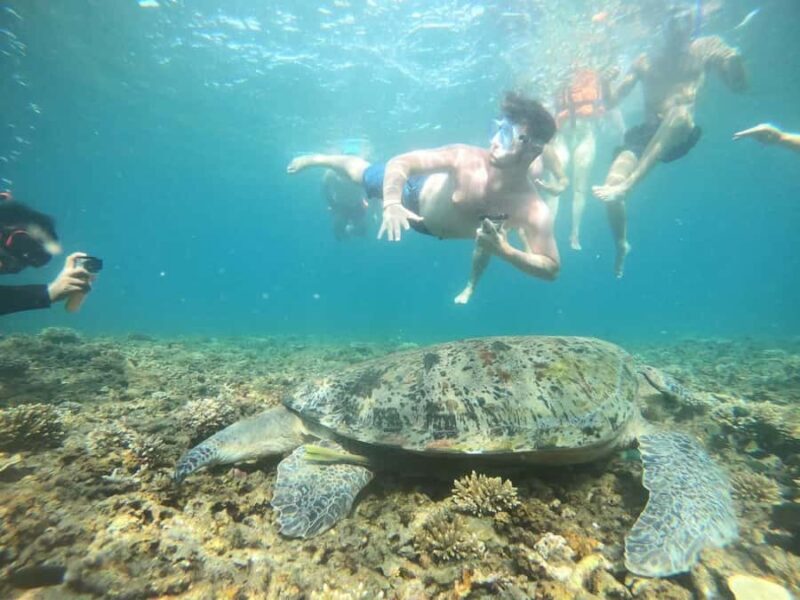 Koh Samui: Private Speedboat Charter  Custom Island Routes - Who Should Consider This Tour