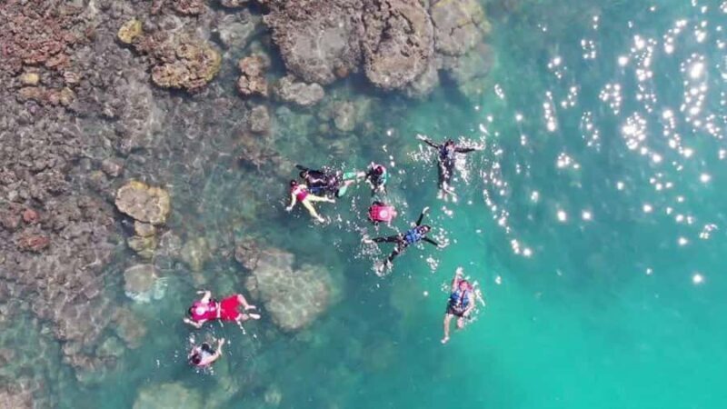 Koh Samui: Sunset Pig Island and Snorkeling Koh Tan w/Dinner - A Deep Dive into the Experience