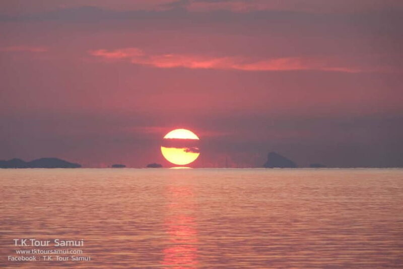 Koh Samui: Sunset Pig Island and Snorkeling Koh Tan w/Dinner - Practical Details & Considerations
