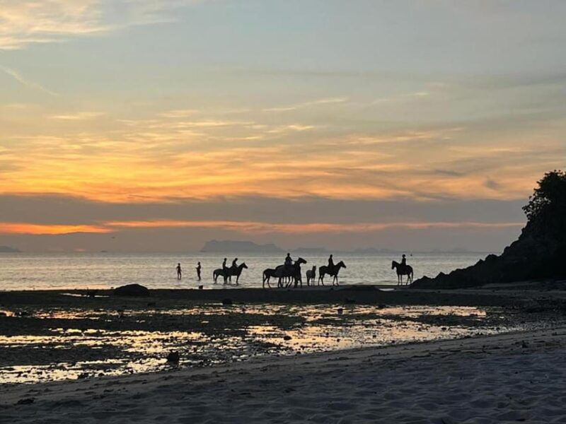 koh-samui-sunset-trail-horse-riding-on-the-beach
