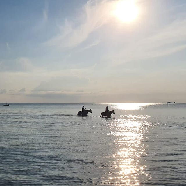 koh-samui-sunset-trail-horse-riding-on-the-beach