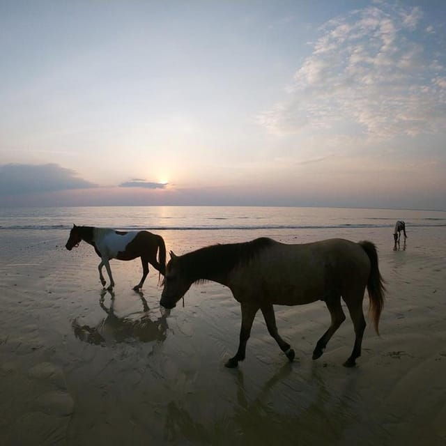 koh-samui-sunset-trail-horse-riding-on-the-beach