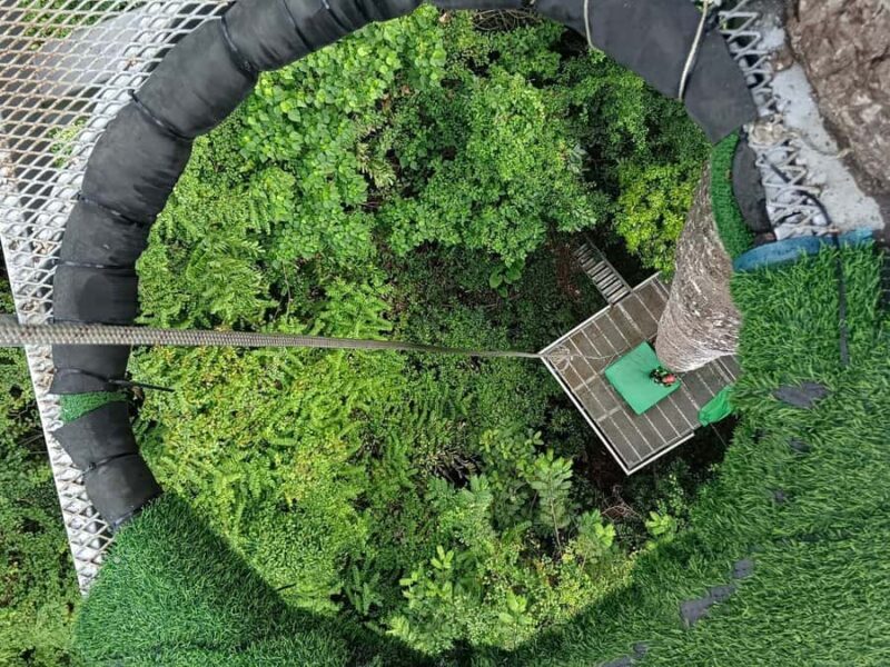 Koh Samui: The Biggest & Longest Jungle Zipline Adventure - Authentic Insights from Reviewers