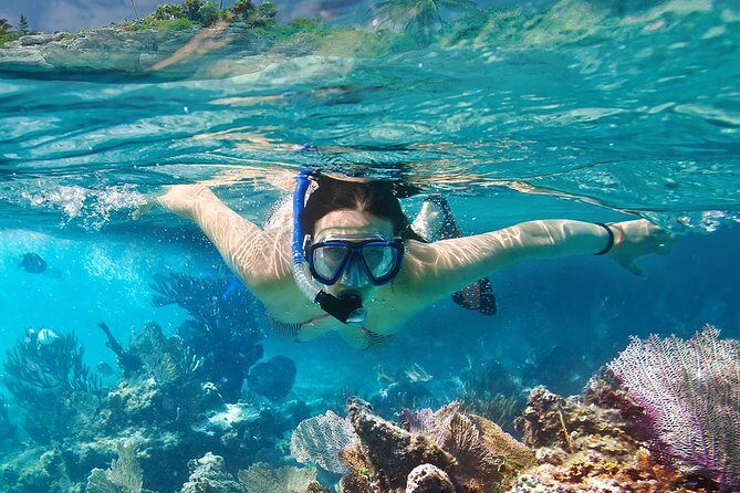 Koh Taen & Mudsum: Island Hopping and Snorkeling from Koh Samui - The Sum Up