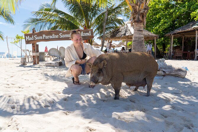 Koh Tan and Pig Island Tour with Sunset Cruise - An In-Depth Look at the Koh Tan and Pig Island Tour