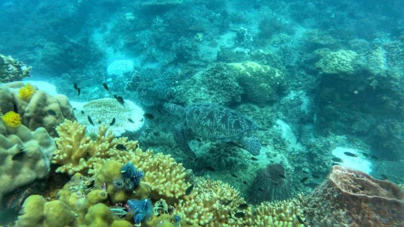 Koh Tao: Advance Open Water Diver 2 Days Course - FAQ