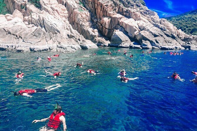 Koh Tao and Koh Nang Yuan Snorkel Tour via Speedboat from Samui - The Sum Up