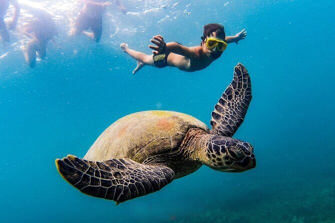 Koh Tao and Koh Nang Yuan Snorkeling Trip - What to Expect from the Itinerary