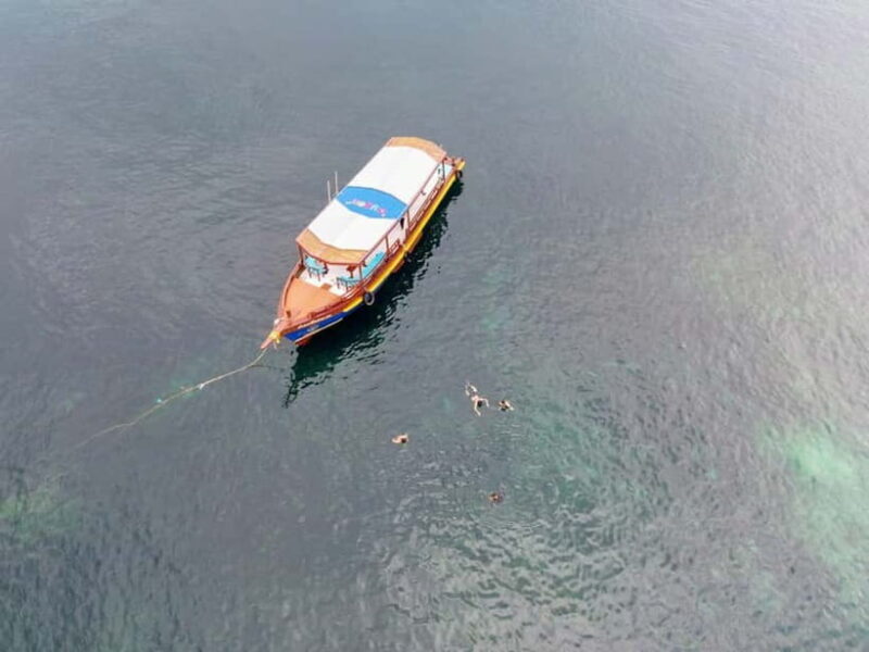 Koh Tao: First Light Snorkel Adventure with Oxygen Tours - Key Points