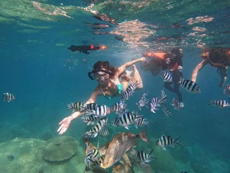 Koh Tao: Full-Day Snorkeling Tour with Lunch & Hotel Pick-up - An In-Depth Look at the Koh Tao Snorkeling Adventure