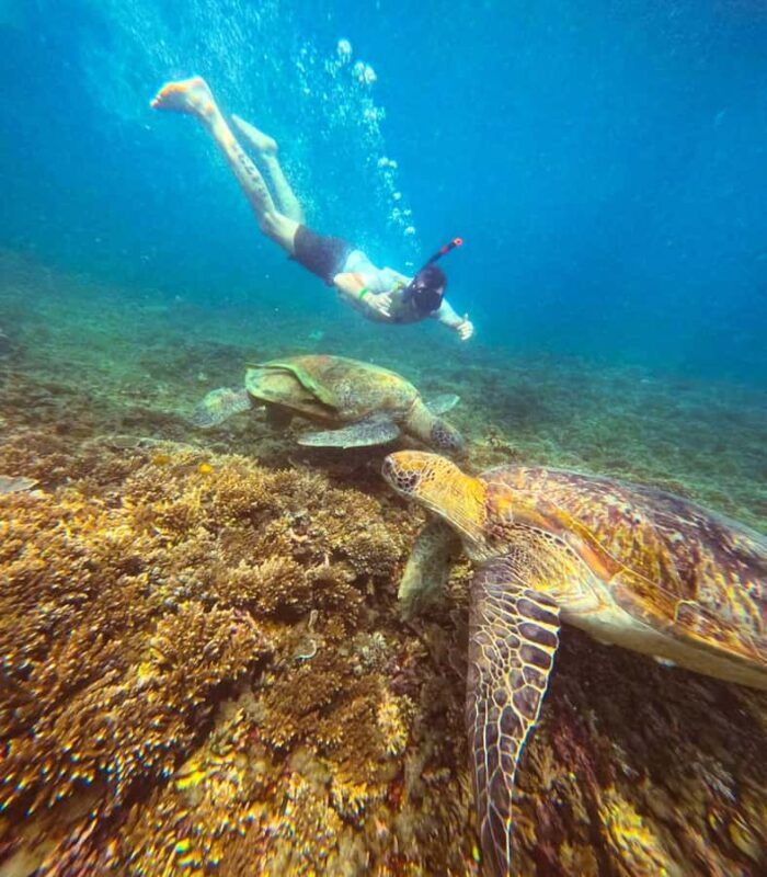 Koh Tao: Half-Day Sunset Snorkeling Tour with Lunch & Pickup - Final Thoughts