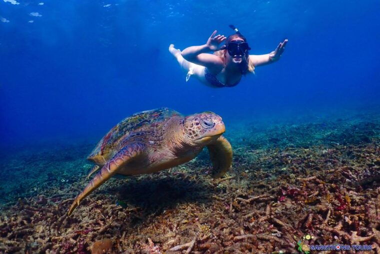 koh-tao-islands-snorkeling-highlights-day-tour-lunch