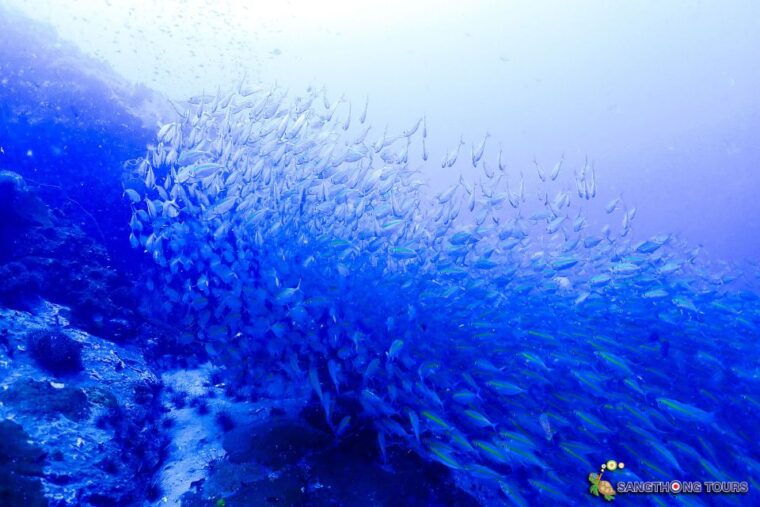 koh-tao-islands-snorkeling-highlights-day-tour-lunch