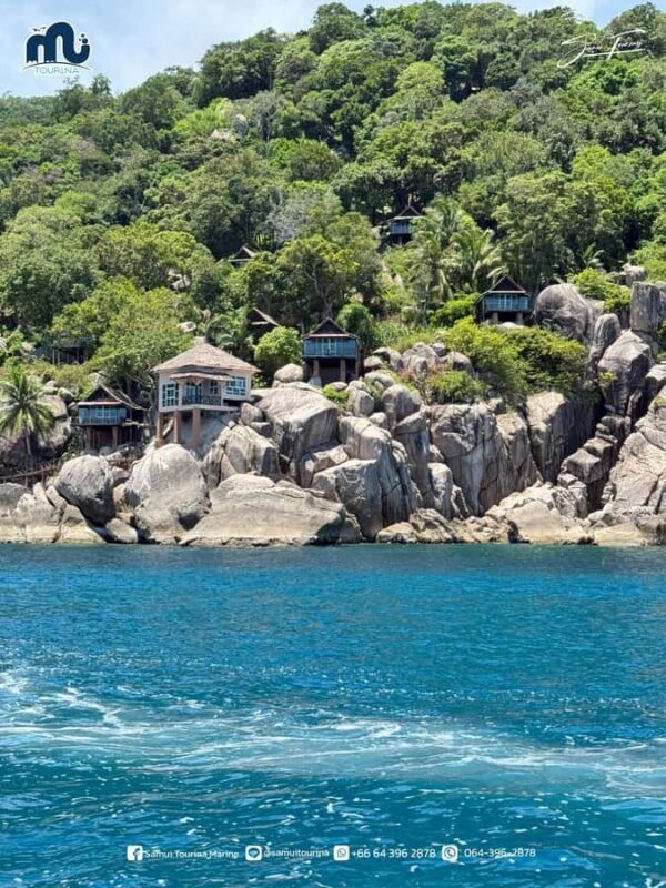 Koh Tao & Koh Nang Yuan: Snorkel the Sparkling Seas - Considerations and Potential Drawbacks