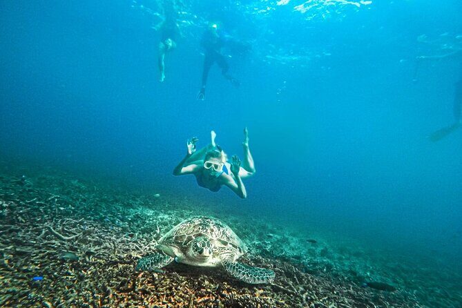 Koh Tao, Koh Nangyuan and Hidden Bays Snorkeling with Lunch - Authentic Insights from Reviews