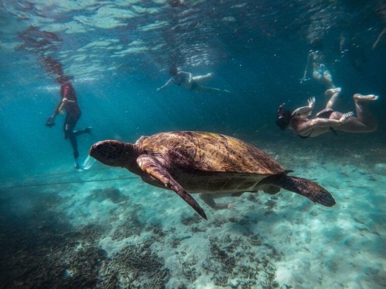 koh-tao-koh-nangyuan-and-the-hidden-bays-trip-by-the-oxygen
