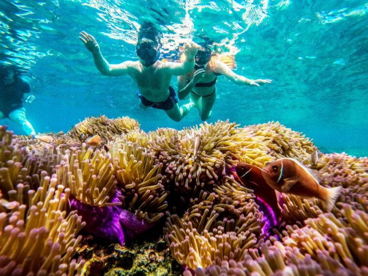 koh-tao-koh-nangyuan-and-the-hidden-bays-trip-by-the-oxygen
